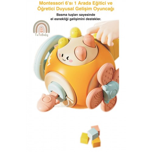 https://cdn.dsmcdn.com/ty1609/prod/QC/20241204/15/ccb49dd1-122a-3eea-9075-4e3de87a022d/1_org_zoom.jpg