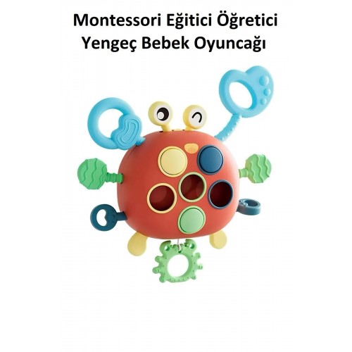 Yengeç Şekilli Montessori Duyusal Gözlem Beceri Geliştirme Eğitici Oyuncağı